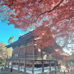 柏原八幡宮の自然