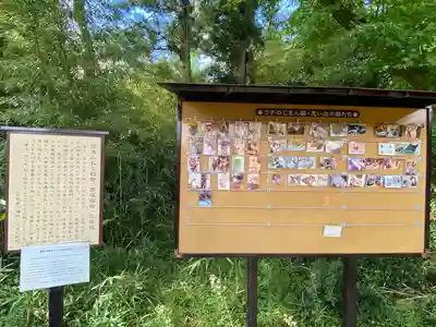 西坂ねこ稲荷神社(福島県)