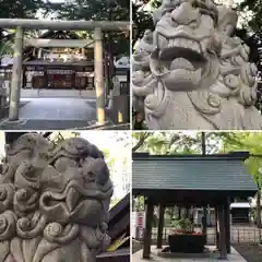 新琴似神社(北海道)