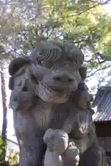 世田谷八幡宮の狛犬