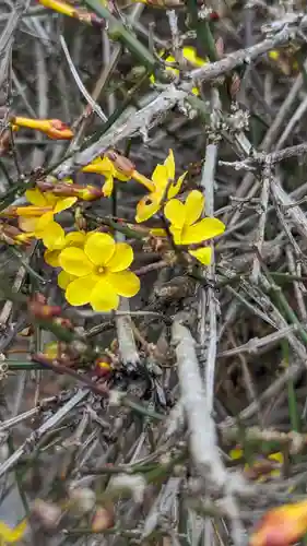 玉田神社(京都府)