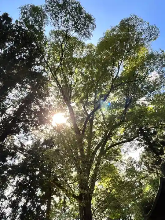 那須神社(栃木県)