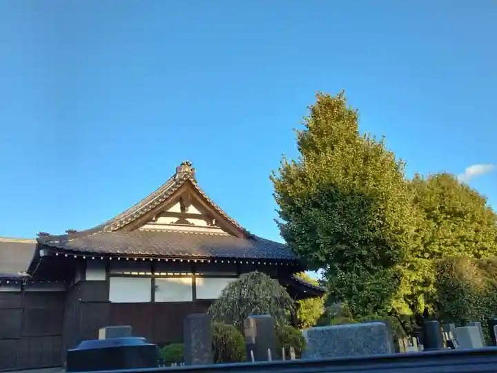 真観寺の本殿・本堂