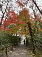 華厳寺（鈴虫寺）(京都府)