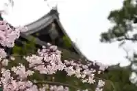知恩院(京都府)