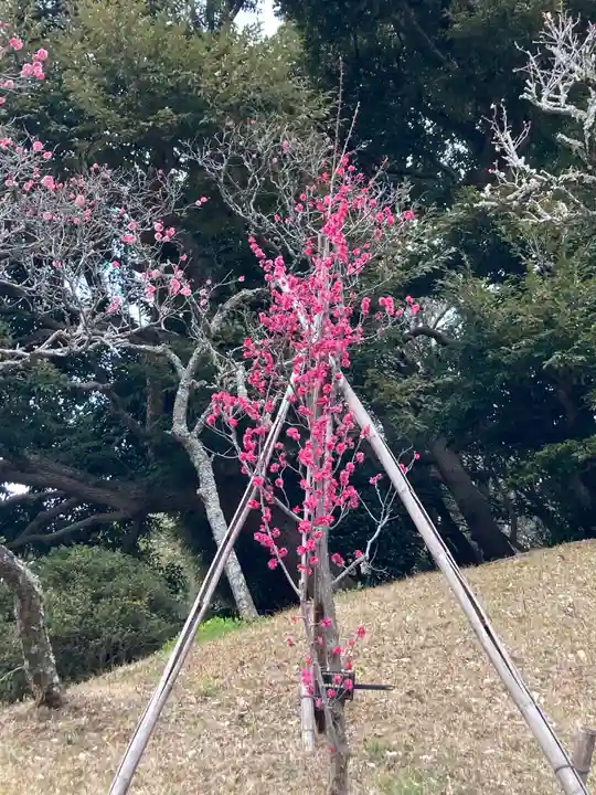 成田山新勝寺(千葉県)