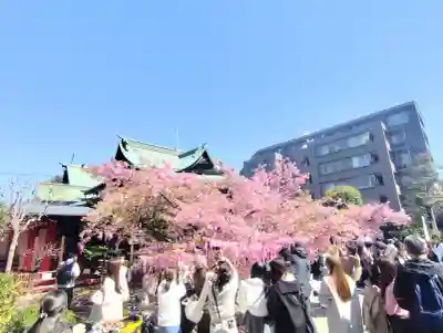 桜神宮(東京都)