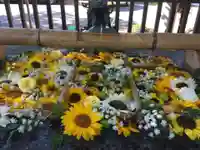 豊平神社の手水舎