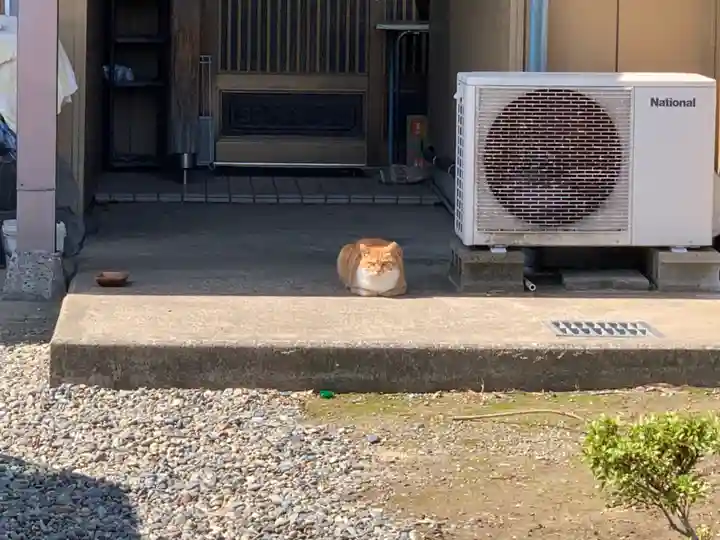 西願寺阿弥陀堂の動物