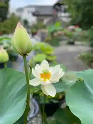 浄谷寺(大阪府)