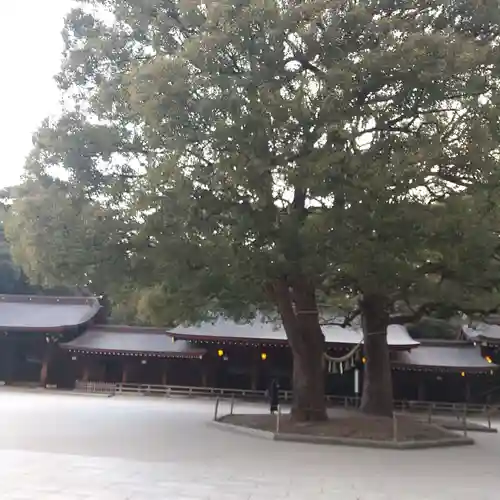 明治神宮(東京都)