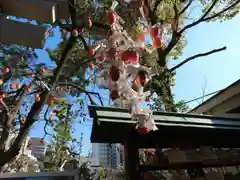 三光神社の建物その他