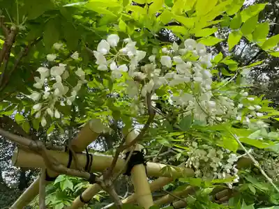 歌泉堂（春日大社神苑萬葉植物園内鎮座）(奈良県)