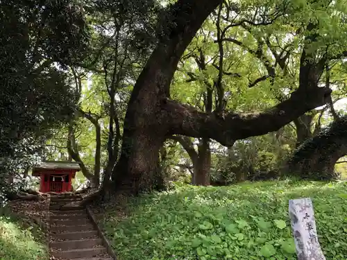 大汝牟遅神社(鹿児島県)