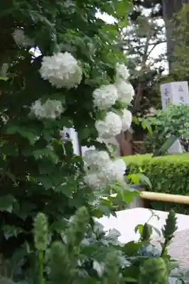 石光寺(奈良県)