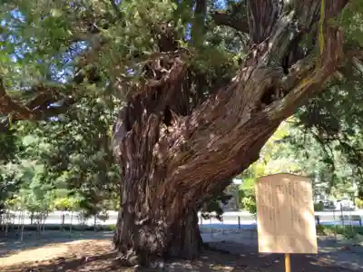 建長寺(神奈川県)