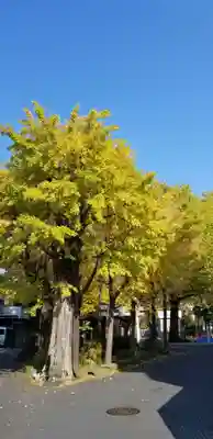 高木神社の自然