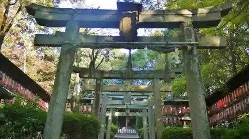 向日神社の鳥居