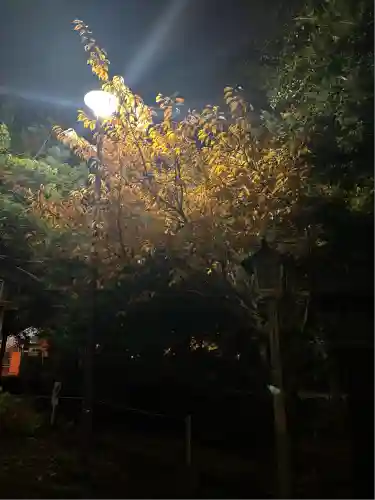 新琴似神社(北海道)