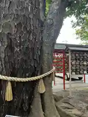 大宮・大原神社(千葉県)