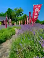 櫻岡大神宮の自然