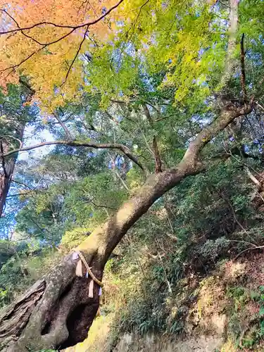 笠森寺(千葉県)