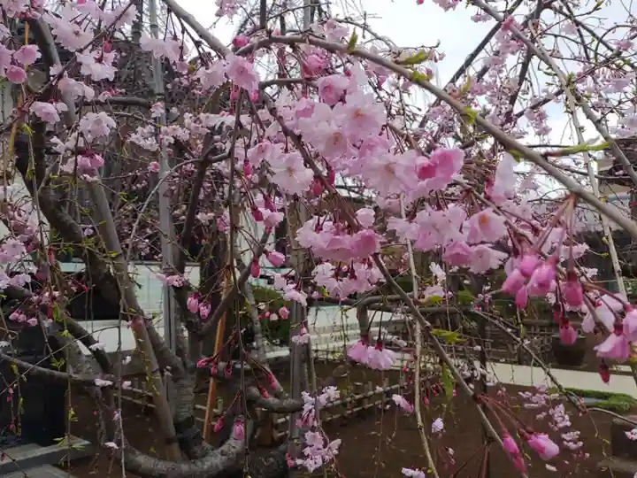 天暁山 一行院(東京都)