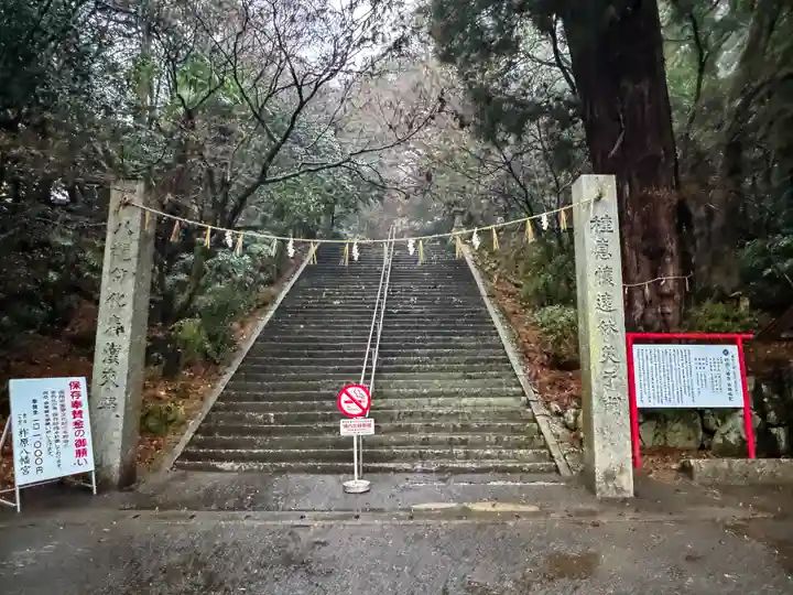 柞原八幡宮(大分県)