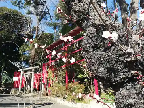 居木神社のその他建物