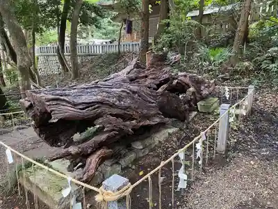 泉神社(茨城県)