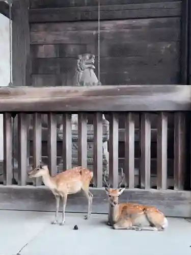 東大寺 二月堂(奈良県)
