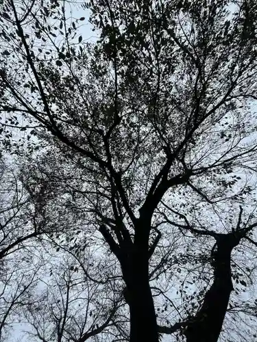 七郷神社(埼玉県)