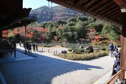 天龍寺の庭園