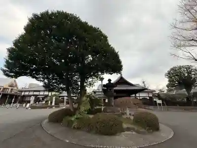 寛永寺(根本中堂)の{uncategorized: "未分類", other: "その他", undefined: "問題あり", building: "その他建物", grave: "お墓", sacred_gate: "鳥居", guardian: "狛犬", statue: "像", buddha: "仏像", history: "歴史", nature: "自然", garden: "庭園", animal: "動物", pagoda: "塔", temizu: "手水舎", mountain_gate: "山門・神門", sanctuary: "本殿・本堂", subordinate: "末社・摂社", art: "芸術", scenery: "景色", jizo: "地蔵", ema: "絵馬", goshuin: "御朱印", omikuji: "おみくじ", items: "授与品その他", amulet: "お守り", goshuincho: "御朱印帳", eats: "食事", festival: "お祭り", votive_dance: "神楽", shichigosan: "七五三参", wedding: "結婚式", experience: "体験その他", initially: "初詣", around: "周辺", anti_infection: "感染症対策"}