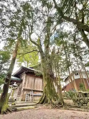 三上六所神社(滋賀県)