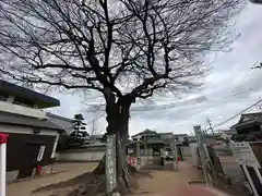 年神社の自然