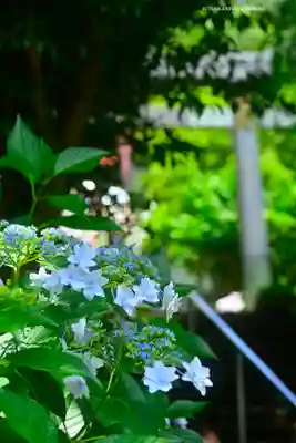 太平山神社(栃木県)