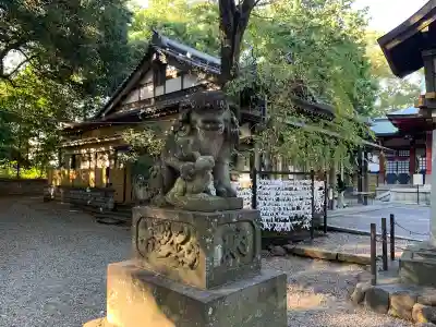 世田谷八幡宮の狛犬