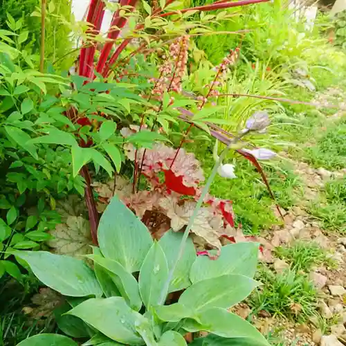 寿量山　速成寺の庭園