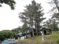 大湊神社(陸ノ宮)の本殿・本堂
