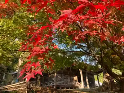 随願寺の本殿・本堂