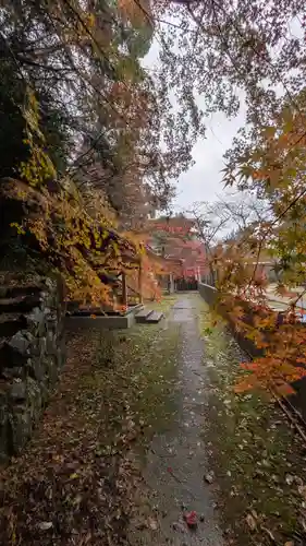 若山神社(大阪府)