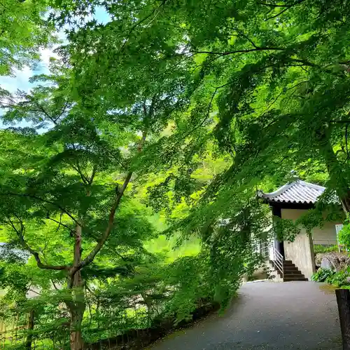 普門寺(切り絵御朱印発祥の寺)の庭園