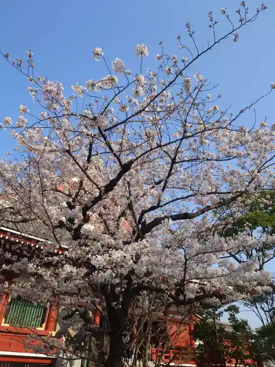 浅草寺(東京都)