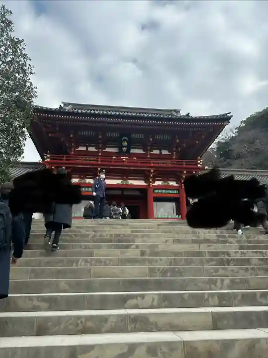 鶴岡八幡宮の{uncategorized: "未分類", other: "その他", undefined: "問題あり", building: "その他建物", grave: "お墓", sacred_gate: "鳥居", guardian: "狛犬", statue: "像", buddha: "仏像", history: "歴史", nature: "自然", garden: "庭園", animal: "動物", pagoda: "塔", temizu: "手水舎", mountain_gate: "山門・神門", sanctuary: "本殿・本堂", subordinate: "末社・摂社", art: "芸術", scenery: "景色", jizo: "地蔵", ema: "絵馬", goshuin: "御朱印", omikuji: "おみくじ", items: "授与品その他", amulet: "お守り", goshuincho: "御朱印帳", eats: "食事", festival: "お祭り", votive_dance: "神楽", shichigosan: "七五三参", wedding: "結婚式", experience: "体験その他", initially: "初詣", around: "周辺", anti_infection: "感染症対策"}