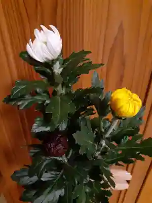 伏木香取神社(茨城県)