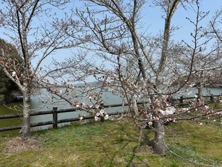 宇佐神社の{uncategorized: "未分類", other: "その他", undefined: "問題あり", building: "その他建物", grave: "お墓", sacred_gate: "鳥居", guardian: "狛犬", statue: "像", buddha: "仏像", history: "歴史", nature: "自然", garden: "庭園", animal: "動物", pagoda: "塔", temizu: "手水舎", mountain_gate: "山門・神門", sanctuary: "本殿・本堂", subordinate: "末社・摂社", art: "芸術", scenery: "景色", jizo: "地蔵", ema: "絵馬", goshuin: "御朱印", omikuji: "おみくじ", items: "授与品その他", amulet: "お守り", goshuincho: "御朱印帳", eats: "食事", festival: "お祭り", votive_dance: "神楽", shichigosan: "七五三参", wedding: "結婚式", experience: "体験その他", initially: "初詣", around: "周辺", anti_infection: "感染症対策"}