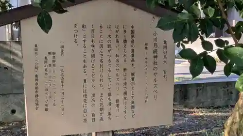 月讀神社(京都府)