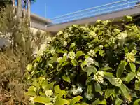 福王山 慈眼寺(東京都)