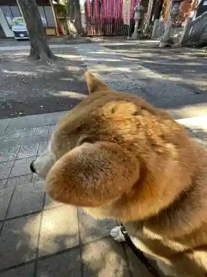 笠䅣稲荷神社(神奈川県)